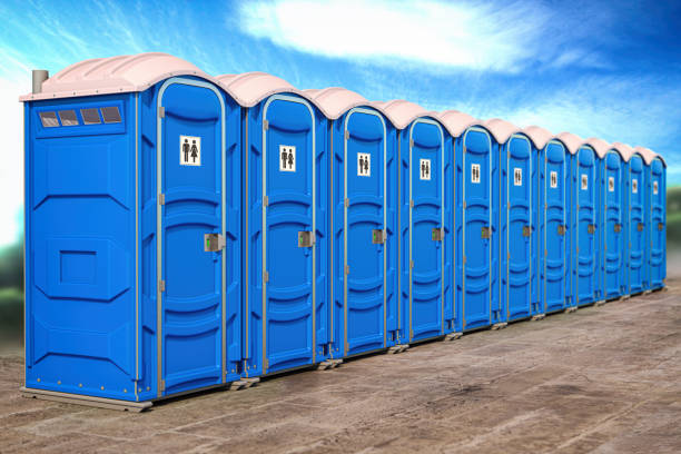 Types of Portable Toilets We Offer in Nixon, PA